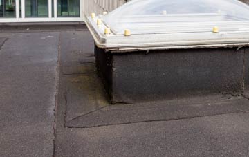 disadvantages of Geary flat roofs