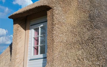 Geary thatch roof disadvantages