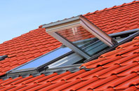 Geary roof window